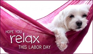 Labor Day Pet Safety Tips | Alldogboots Blog