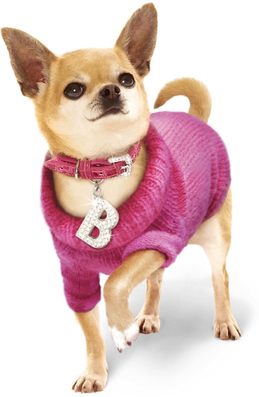 Fashion Week 2015: Dog Fashion Trends for Hip Pets