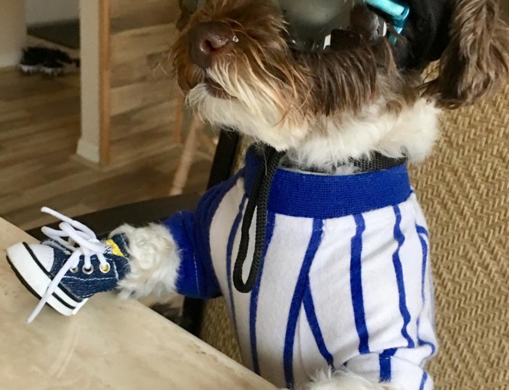 Penny Alldogboots Blog