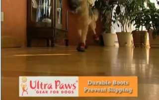 ultra paws help slipping dogs