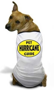 hurricane dog