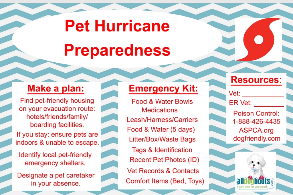 hurricane preparedness for pets
