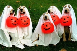 dog ghosts halloween