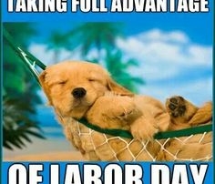 labor day dog