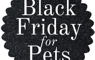 black friday for pets
