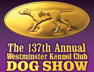 westminster dog show