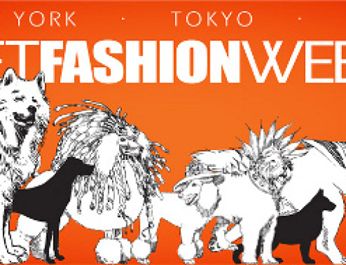 Fashion Week in NYC is Feb. 12-19: Canine Fashion Trends