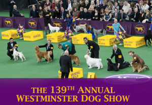 westminster dog show 2015